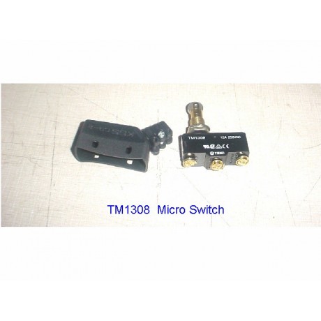 TM1308  Micro switch